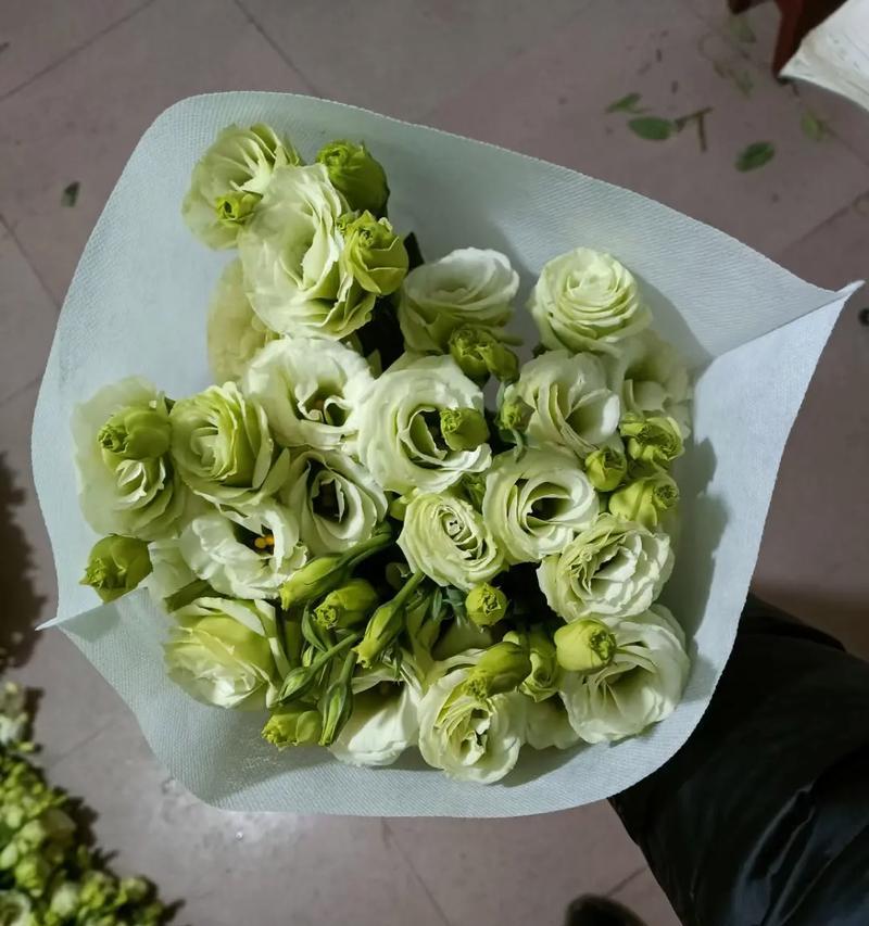 绿色洋桔梗花语深度解析