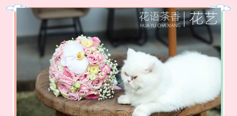 拾到两捧花的寓意是什么