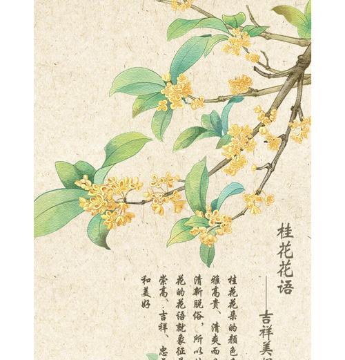 素雅清丽的花语是什么