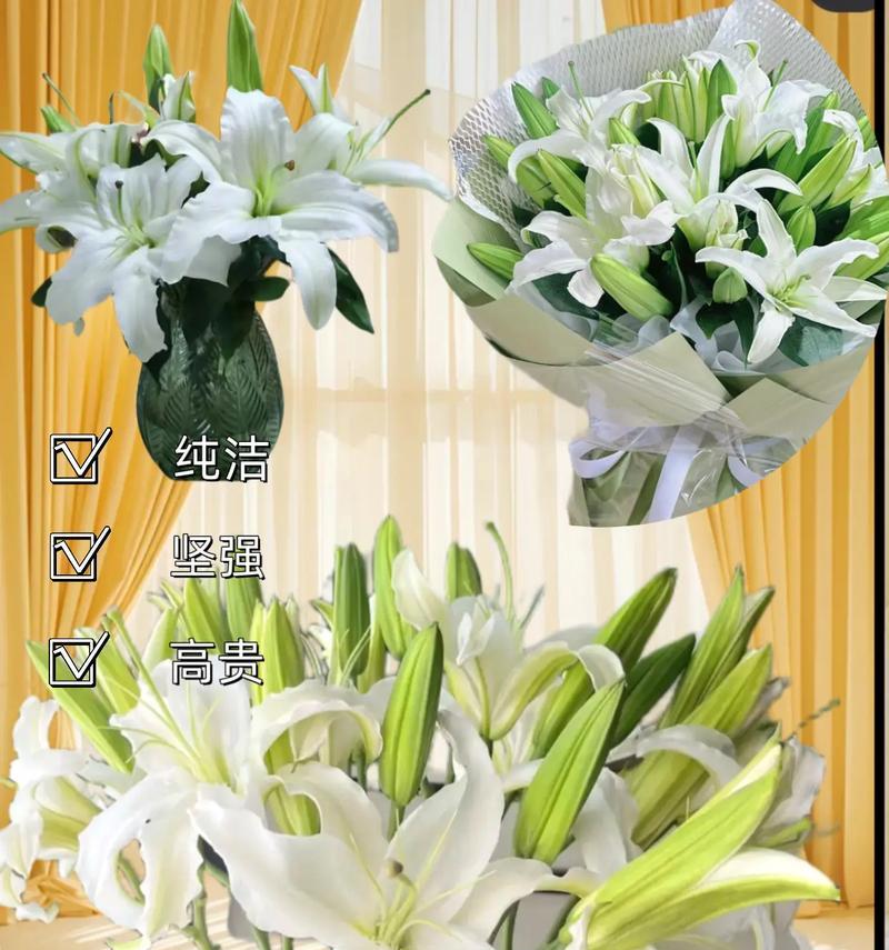 诀别是什么花的花语和寓意