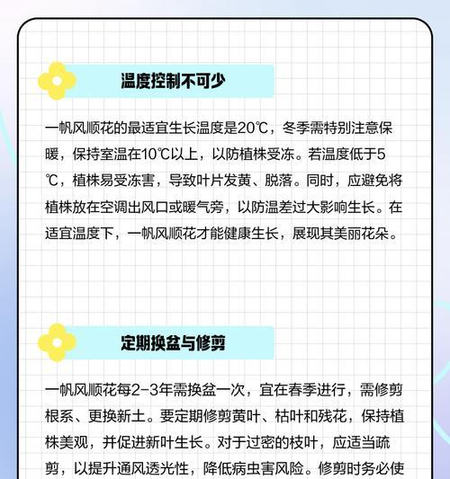 养一帆风顺花的寓意是什么