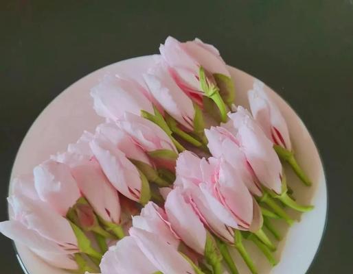 白露花的寓意与象征是什么