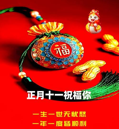 11月10日代表的花语——感恩与爱的传递