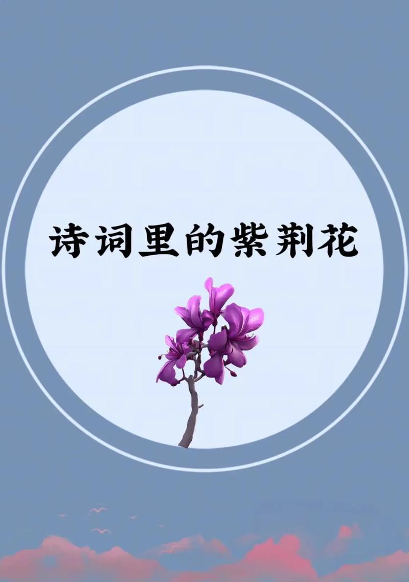 紫荆花的花语：浪漫与坚韧的象征