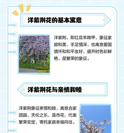 紫荆花的花语：浪漫与坚韧的象征