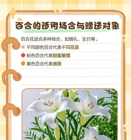 感恩的花朵：揭秘花语中的感谢与尊重