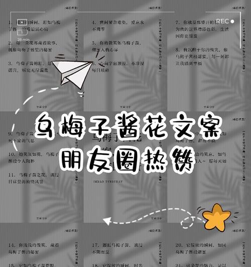 梅子花的寓意是什么
