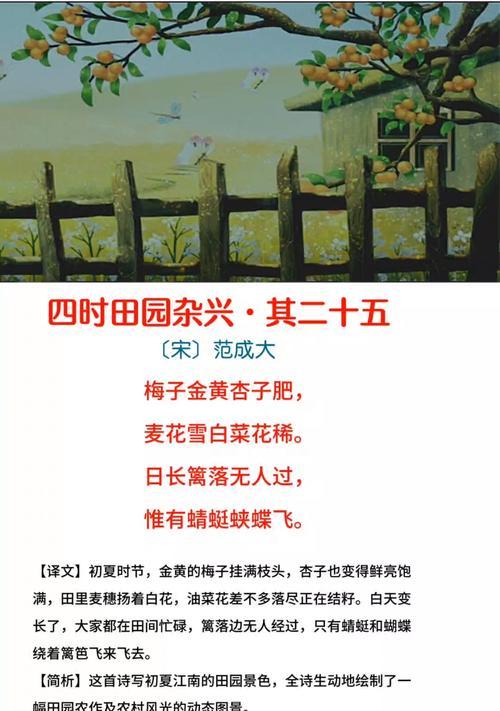 梅子花的寓意是什么
