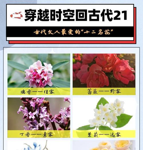 古代用什么花象征着高贵的地位