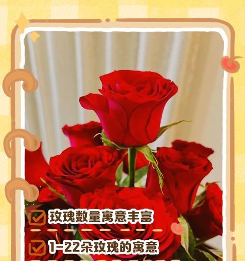 十朵旋转玫瑰花的寓意是什么