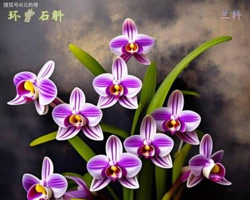 超大水生植物种类有哪些？哪些水生植物适合大型水族箱？