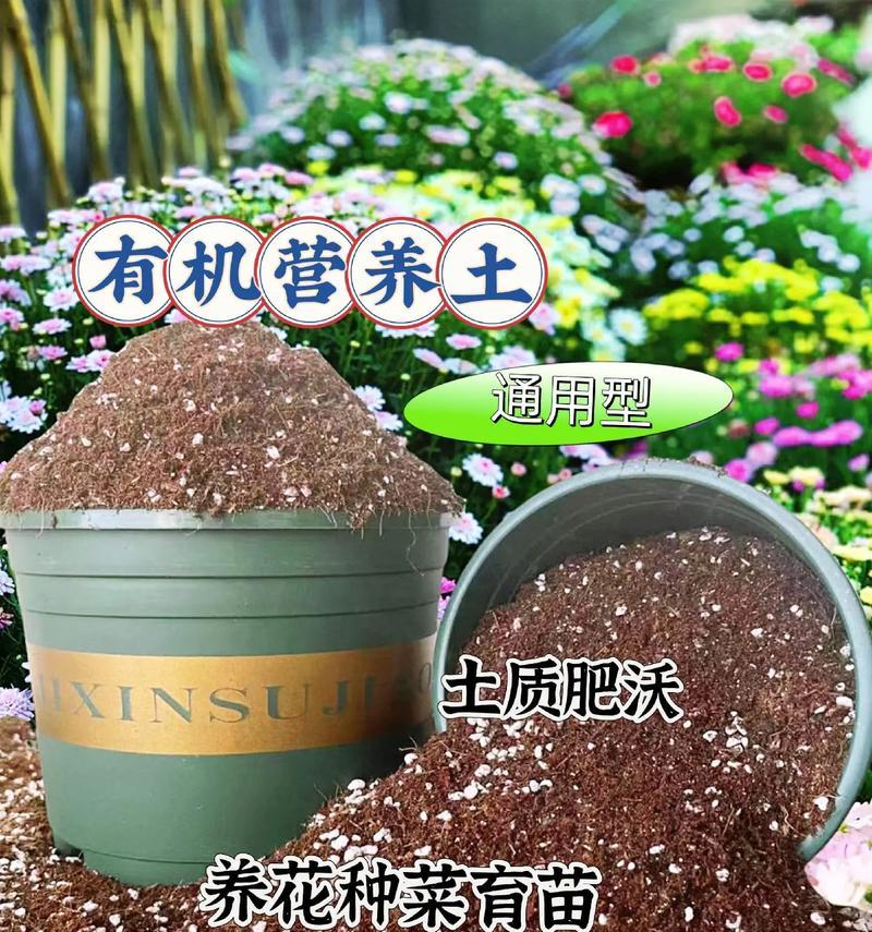 自制养花土肥料的方法有哪些？