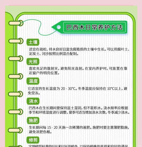 木本植物发芽期的正确养护方法是什么？