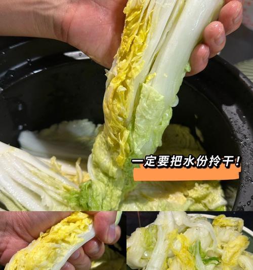 温泉自制肥料的配方和步骤是什么？