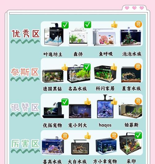 观赏石盆景鱼缸的养护方法？