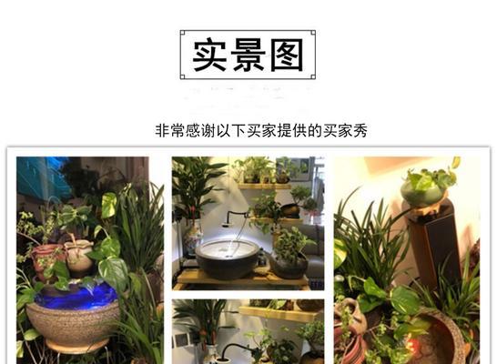 观赏石盆景鱼缸的养护方法？