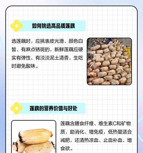观赏植物不结藕的原因有哪些？如何解决？