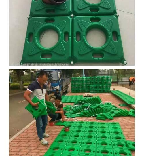 水生植物养护需要哪些工具？