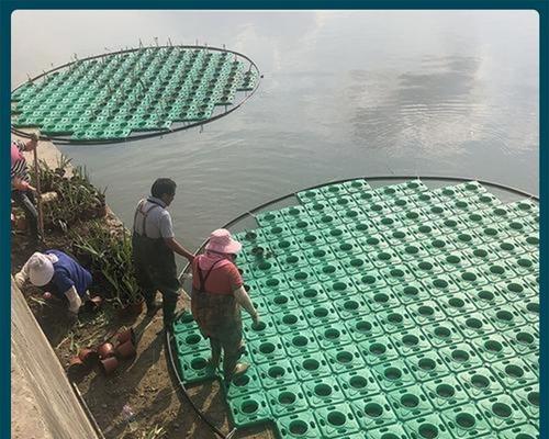水生植物养护需要哪些工具？