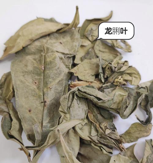 龙叶子发黄的原因是什么?如何预防和处理?