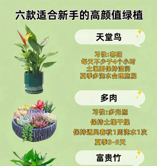 奇特观赏植物排名前十的有哪些？它们的养护要点是什么？