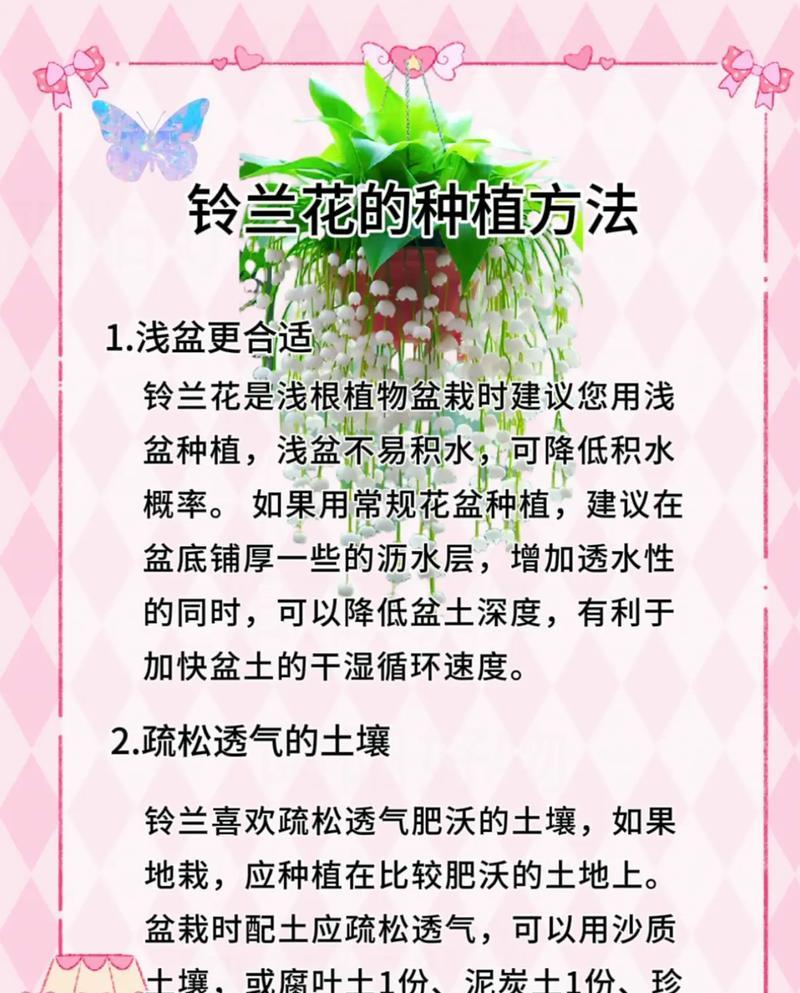 绿铃草什么时候播种？播种前需要准备什么？