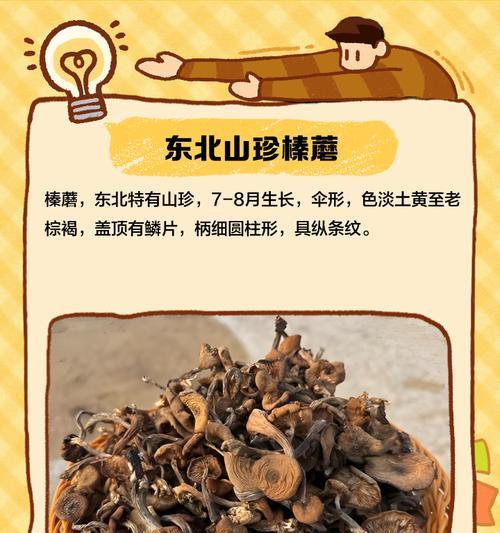 金榛蘑栽培的关键技术要点是什么？