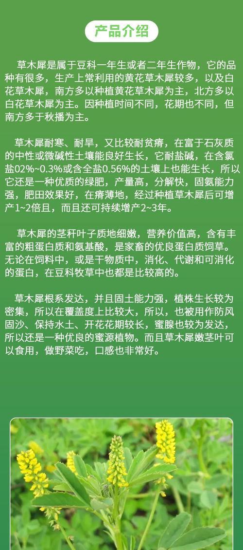草木犀南方什么时候播种？南方播种草木犀的最佳时间是什么时候？