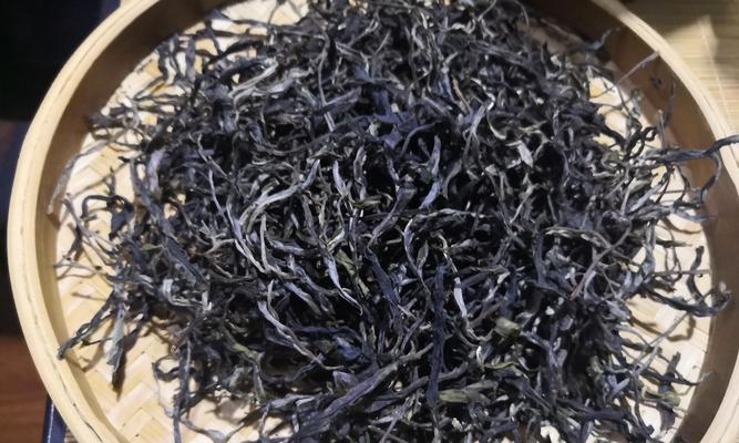 文瀛湖水生植物有哪些？它们的生长环境和特点是什么？