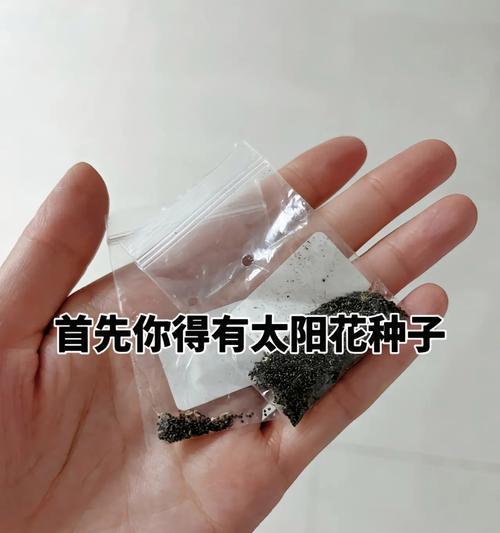 湿种子播种需要哪些参数？