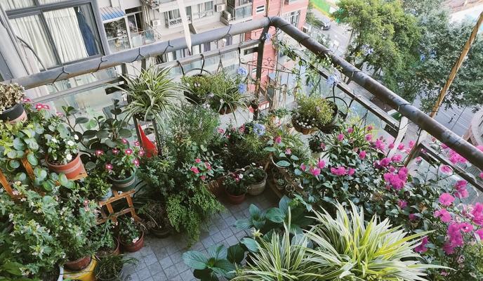租房阳台适合养哪些花？如何选择适合阳台种植的花卉？