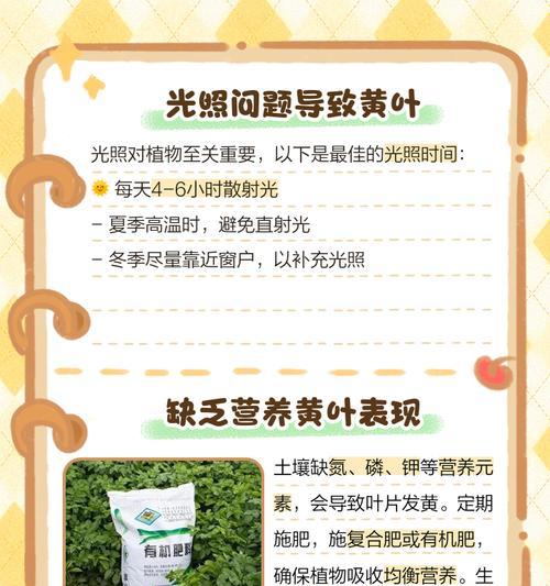 铁头植物叶子发黄是什么原因？