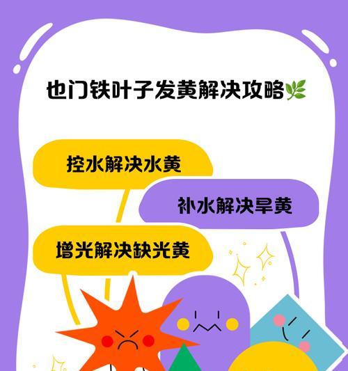铁头植物叶子发黄是什么原因？