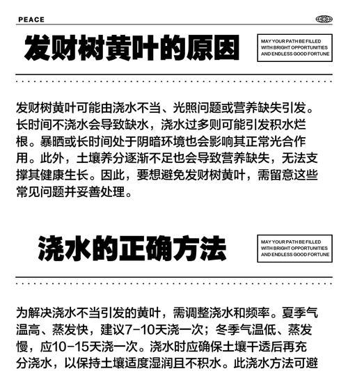 轻薄气垫植物叶子发黄的解决方法是什么？
