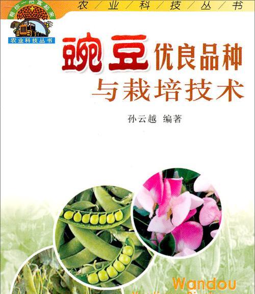 甜翠碗豆栽培技术要点是什么？如何提高产量？