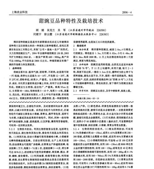 甜翠碗豆栽培技术要点是什么？如何提高产量？