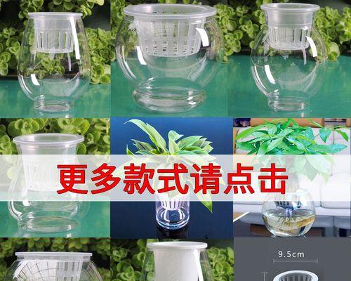 适合插花瓶的水生植物有哪些？