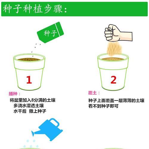 南方播种菜种子有哪些选择？如何选择适合南方气候的菜种子？