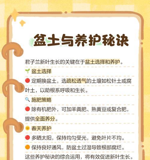 君子兰叶子不旺盛怎么办？有效促进叶子生长的方法是什么？