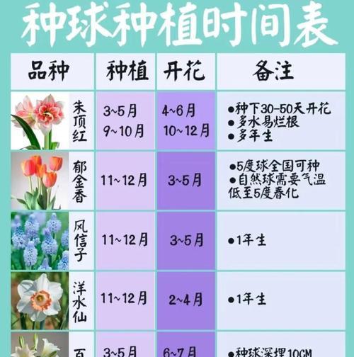 四季豆在北方春季何时播种最佳？播种技巧有哪些？