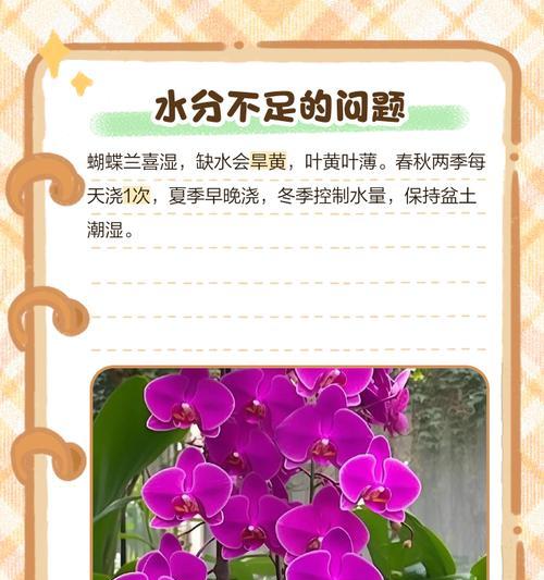 蝴蝶兰底部叶子发黄的原因及解决方法？