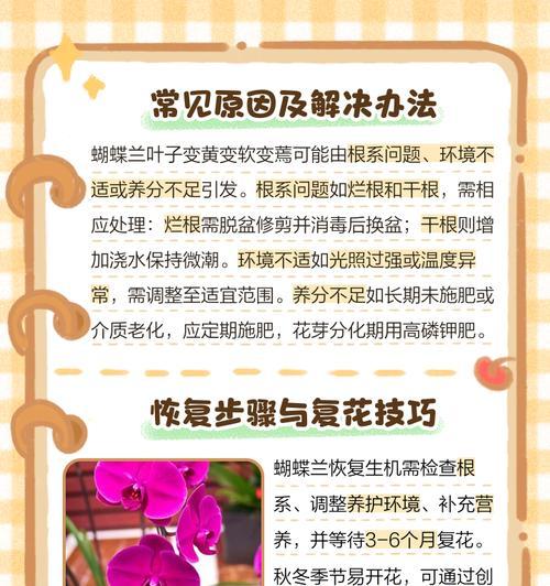 蝴蝶兰底部叶子发黄的原因及解决方法？