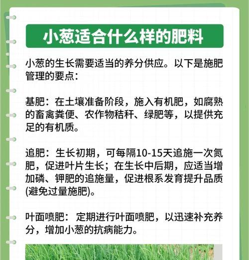 大棚葱籽栽培技术要点及步骤？