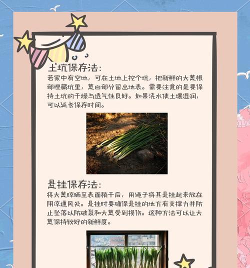大棚葱籽栽培技术要点及步骤？