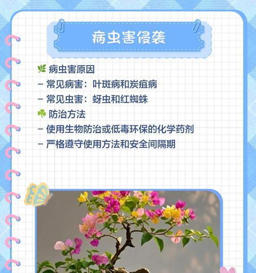 三角梅炭疽病怎么预防？预防措施有哪些？