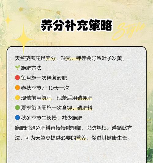 叶子发黄怎么办？有哪些有效的解决方法？