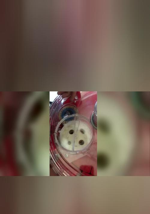 播种轮损坏会导致哪些问题？