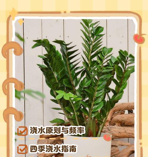 平安浇水的正确方法是什么？