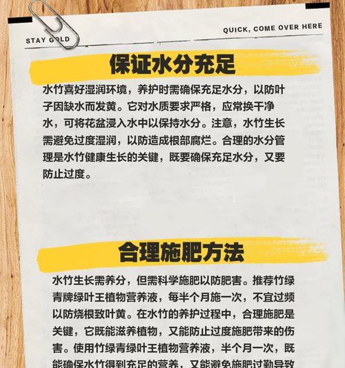 水竹叶子发黄变软是什么原因？如何解决？