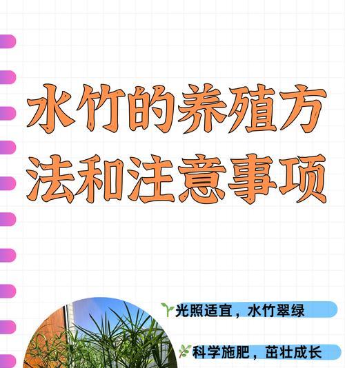 水竹叶子发黄变软是什么原因？如何解决？